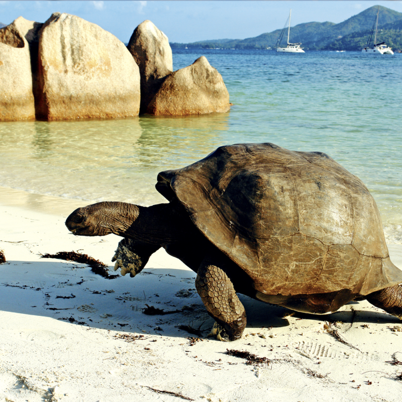 Mitsegeln Weltweit Sychellen